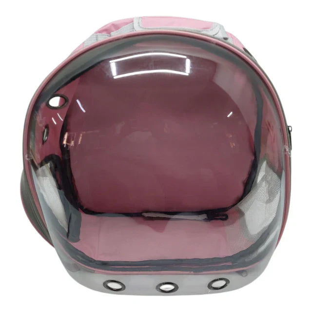Pet Accessories