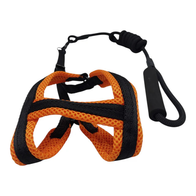 Breathable Mesh Pet Harness and Leash Set
