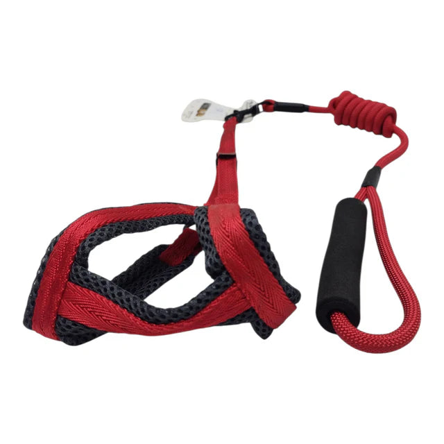 Breathable Mesh Pet Harness and Leash Set