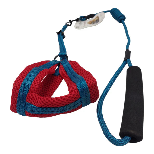 Breathable Mesh Pet Harness and Leash Set