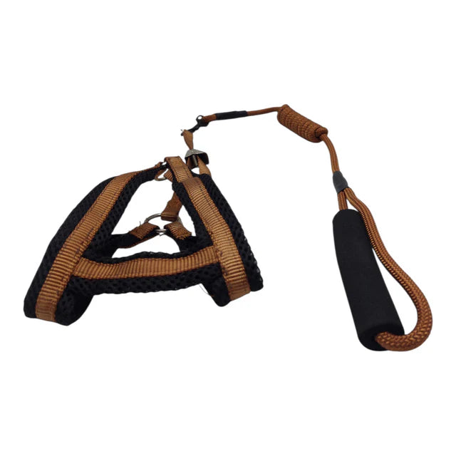 Breathable Mesh Pet Harness and Leash Set